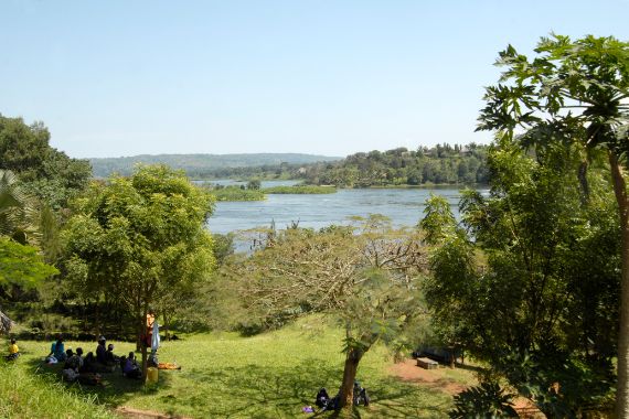 Ugandische Landschaft mit Bäumen im Vordergrund und einem See im Hintergrund.